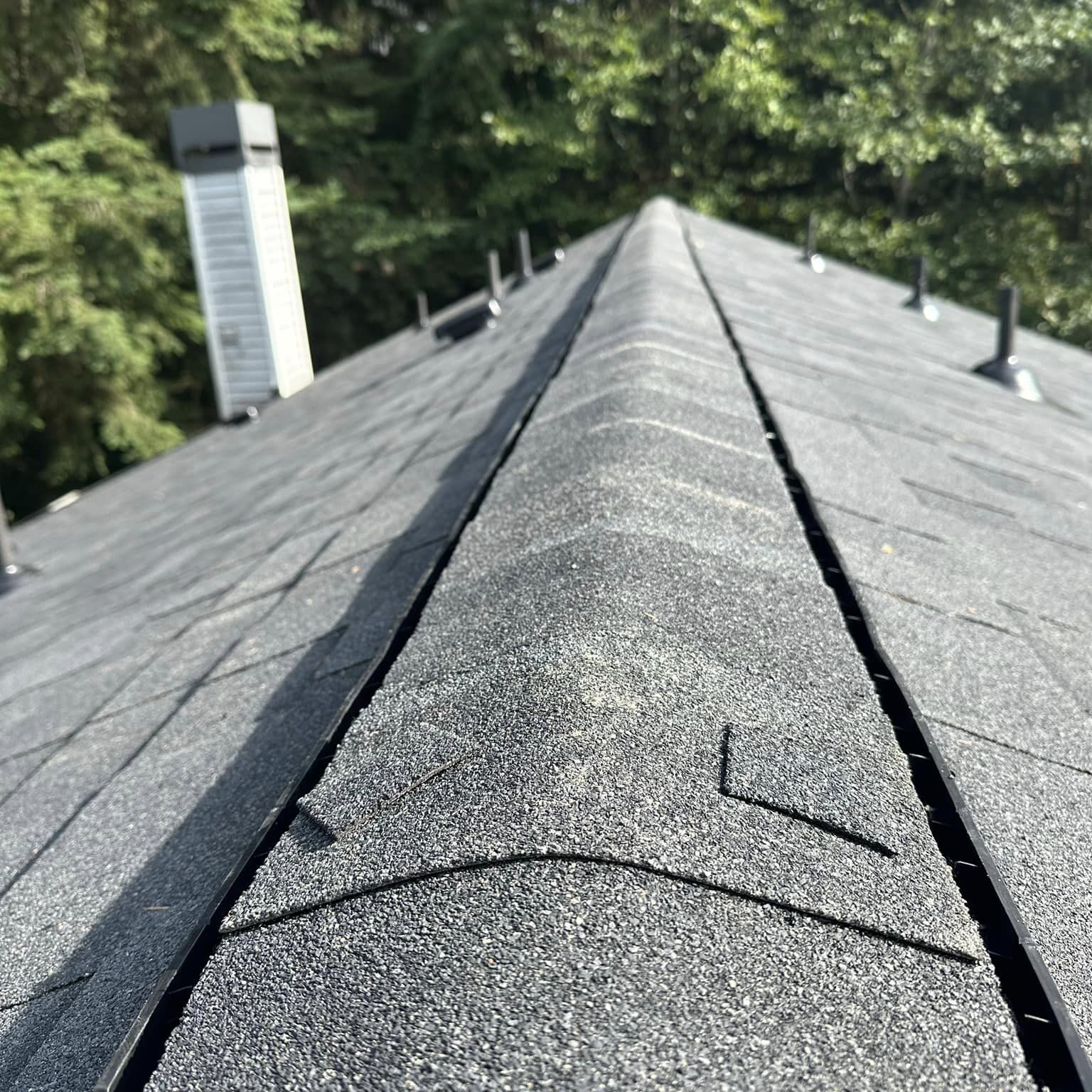 Lobos Roofing Llc Web Pull (10)